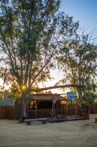 RegencyRanch14_040
