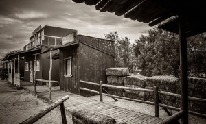 RegencyRanch14_052